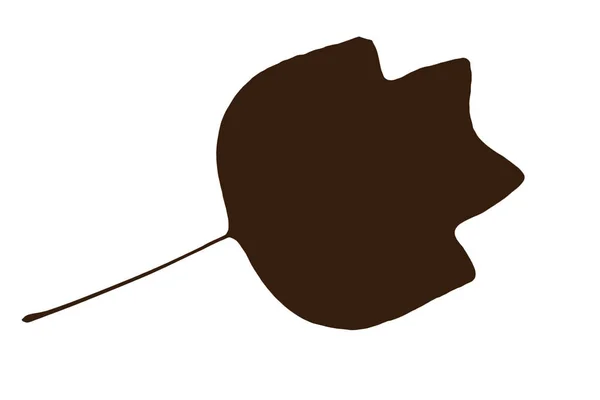 Kahverengi beyaz arka plan üzerinde yaprak şeklinde — Stok fotoğraf