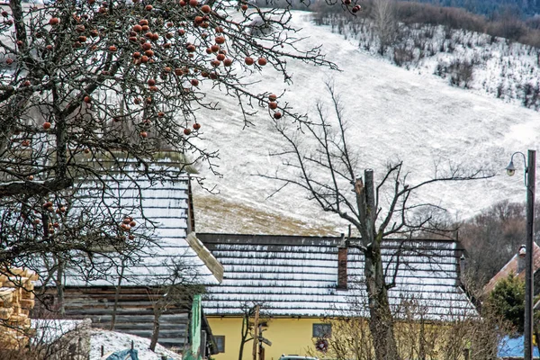 Apfelbaum und Holzhäuser im Dorf Vlkolinec, Slowakei, une — Stockfoto