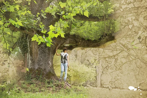 Schöne Frau unter dem massiven Ahornbaum, Skizze — Stockfoto