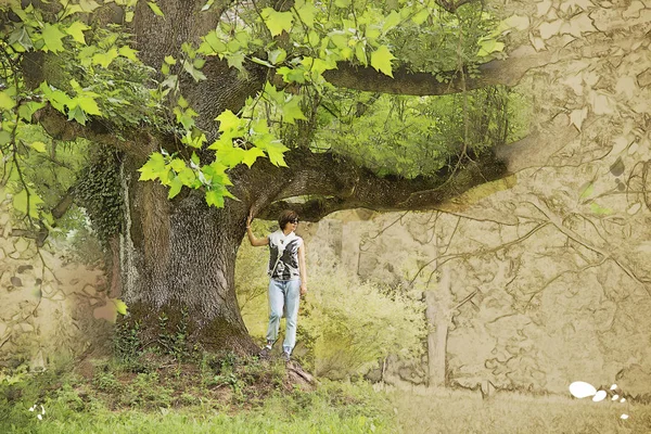 Krásná žena pod masivní javor, skica — Stock fotografie