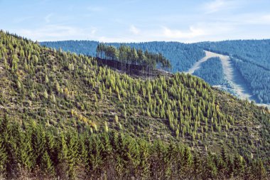 Felaket üstüne felaket. Kralova Hola, Slovakya