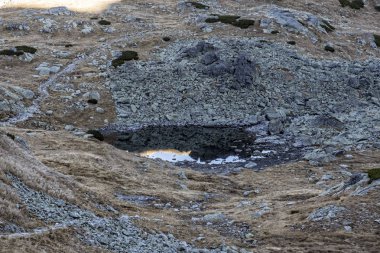 Büyük Soğuk Vadi, Yüksek Tatras Dağları, Slovakya