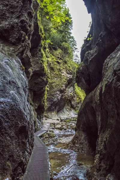 Janosik Delikleri, Küçük Fatra, Slovakya, yürüyüş teması — Stok fotoğraf