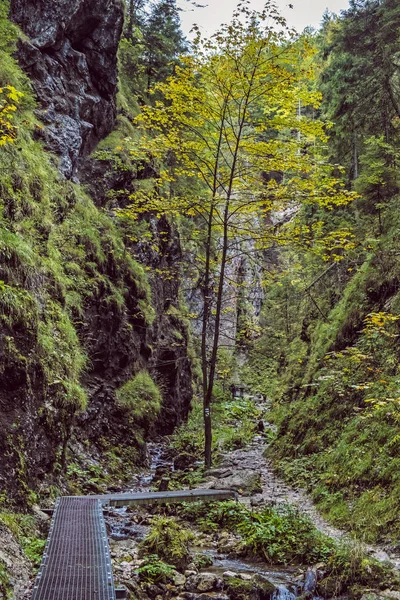 Janosik Holes, Little Fatra, Slovakia, hiking theme — 图库照片