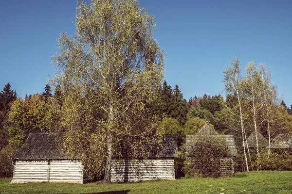 Музей словацкой деревни в Мартине, Словакия — стоковое фото