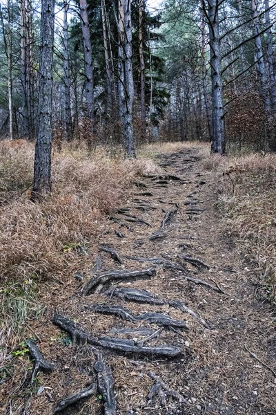 Strazov hill, Strazov Mountains, Eslováquia — Fotografia de Stock