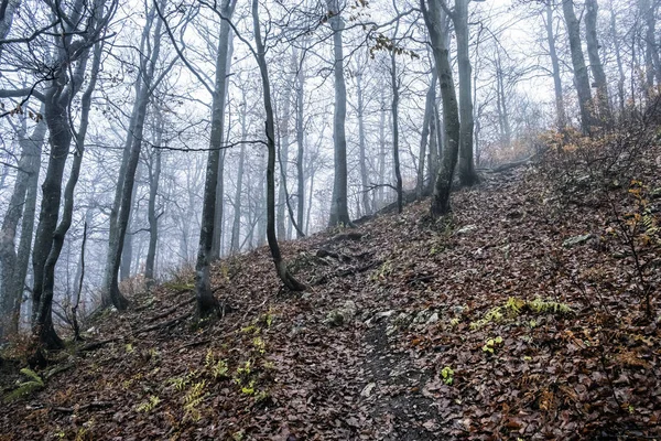 Strazov heuvel, Strazov gebergte, Slowakije — Stockfoto