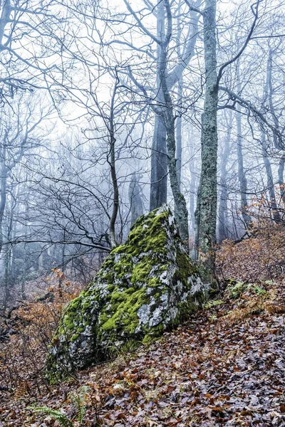 Strazov heuvel, Strazov gebergte, Slowakije — Stockfoto