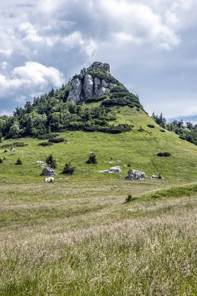 Black Stone in Big Fatra, Slovakia — ストック写真