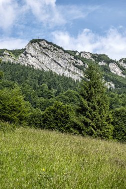 Black Stone in Big Fatra, Slovakia
