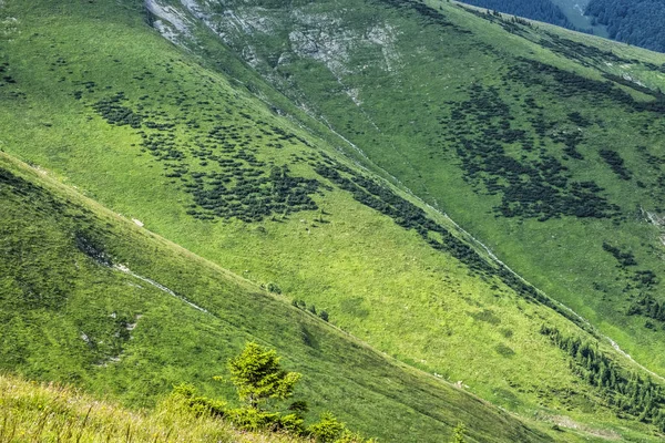 Grandes montanhas Fatra, Eslováquia — Fotografia de Stock