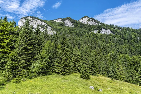 Fekete kő Nagy-Fátra, Szlovákia — Stock Fotó