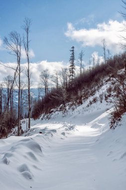 Büyük Fatra Dağları, Slovakya Cumhuriyeti. Karlı bir manzara. Mevsimsel doğal sahne. Seyahat güzergahı. Yürüyüş teması.