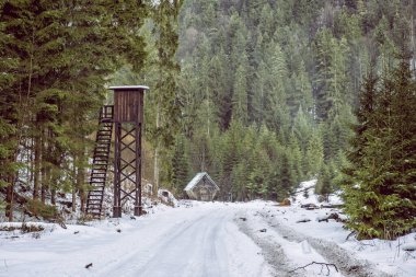 Büyük Fatra Dağları, Slovakya Cumhuriyeti. Karlı bir manzara. Mevsimsel doğal sahne. Seyahat güzergahı. Yürüyüş teması.