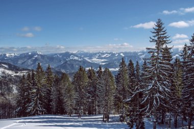Büyük Fatra, Slovak cumhuriyetinden alçak Tatras sıradağları. Karlı bir manzara. Mevsimsel doğal sahne. Seyahat güzergahı. Yürüyüş teması.