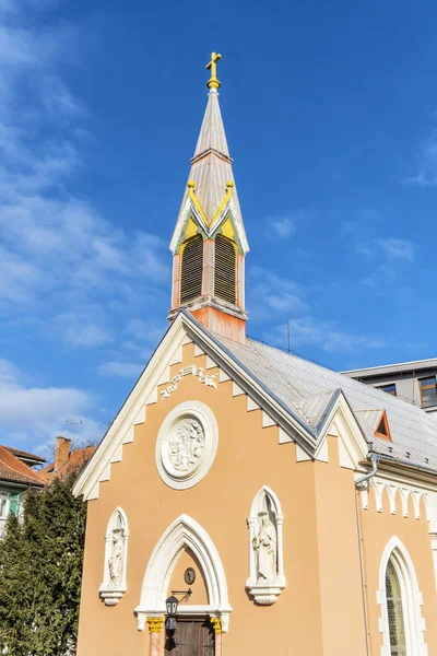 在斯洛伐克共和国皮耶什佳尼的耶稣圣心教堂 宗教建筑 礼拜场所 — 图库照片