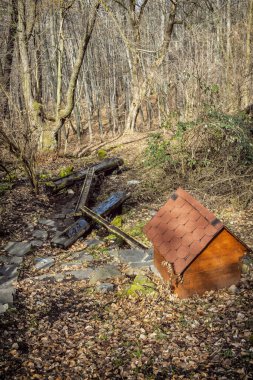Yaprak döken ormandaki dağ deresi, Siatorska Bukovina, Slovakya Cumhuriyeti. Mevsimsel doğal sahne.