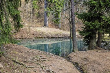 Stiavnica Dağları 'ndaki su deposu, Slovakya Cumhuriyeti. Mevsimsel doğal sahne. Yürüyüş teması.