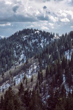 Büyük Fatra Dağları, Slovakya Cumhuriyeti. Mevsimsel doğal sahne. Yürüyüş teması.