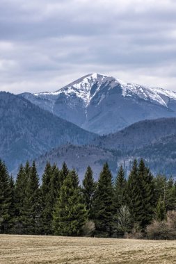 Küçük Fatra dağları Podsip, Slovakya Cumhuriyeti 'ne kadar uzanıyor. Seyahat güzergahı. Yürüyüş teması.