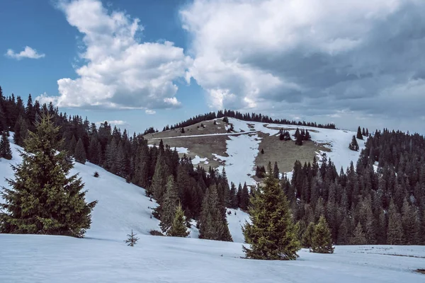 大きなファトラ山脈 スロバキア共和国 四季折々の自然風景 ハイキングのテーマ — ストック写真