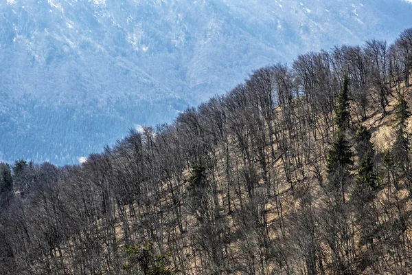 Laubwald Sip Gipfel Große Fatra Slowakische Republik Saisonale Naturszene Reiseziel — Stockfoto