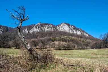 Vrsatske kayaları, Slovak cumhuriyetindeki Beyaz Karpat dağları. Mevsimsel doğal sahne. Yürüyüş teması.