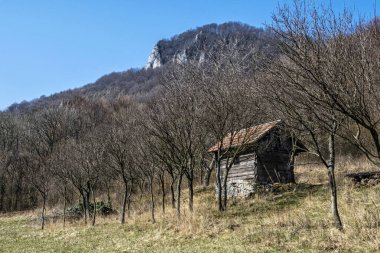 Eski barınaklar, Vrsatske kayaları, Beyaz Karpat dağları, Slovakya Cumhuriyeti. Mevsimsel doğal sahne. Yürüyüş teması.