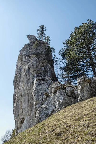 Vrsatske Stenar Vita Karpaterna Slovakien Säsongsmässig Naturlig Scen Vandringstema — Stockfoto