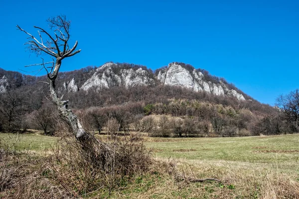 Vrsatske岩石 白色喀尔巴阡山脉在斯洛伐克共和国 季节性的自然景观 远足主题 — 图库照片