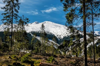 Chopok Peak ve Demanovska Vadisi, Slovak Cumhuriyeti 'nin Alçak Tatras Dağları Ulusal Parkı' nda. Yürüyüş teması. Mevsimsel doğal sahne.