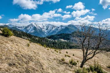 Batı Tatras sıradağları, Slovakya Cumhuriyeti. Yürüyüş teması. Mevsimsel doğal sahne.