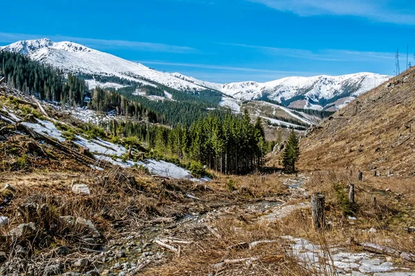 Chopok Pico Valle Demanovska Parque Nacional Baja Tatras Montañas República —  Fotos de Stock