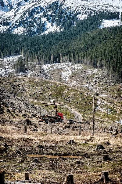 Calamidade Madeireira Vale Demanovska Parque Nacional Montanhas Low Tatras República — Fotografia de Stock