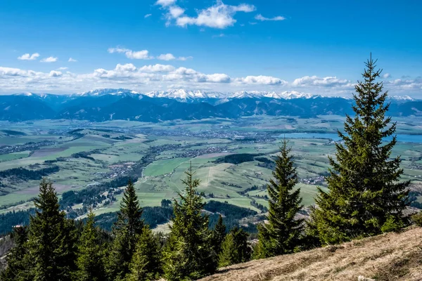 Niedere Tatra Und Liptauer Becken Aus Der Westtatra Slowakische Republik — Stockfoto