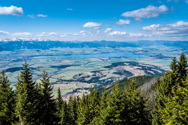 Niedere Tatra Und Liptauer Becken Aus Der Westtatra Slowakische Republik — Stockfoto