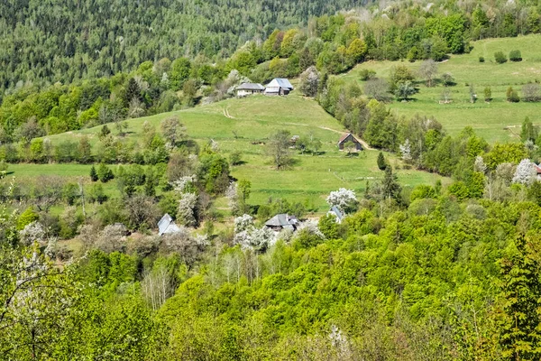 Krajobraz Wiejski Muranska Zdychava Republika Słowacka Sezonowa Scena Naturalna Cel — Zdjęcie stockowe