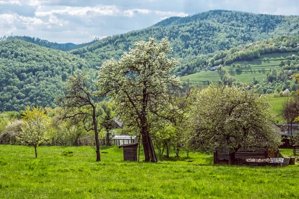 Vidéki Táj Muranska Zdychava Szlovák Köztársaság Szezonális Természeti Jelenet Utazási — Stock Fotó