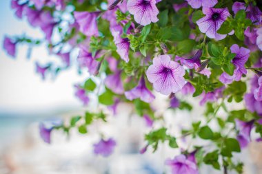 Restoran için bir tablosundaki zarif çiçek dekorasyon