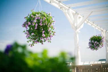 Restoran için bir tablosundaki zarif çiçek dekorasyon