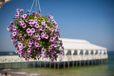 Restoran için bir tablosundaki zarif çiçek dekorasyon