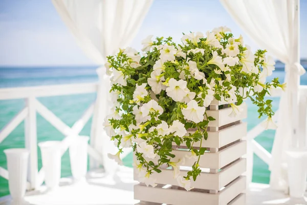 Restoran için bir tablosundaki zarif çiçek dekorasyon