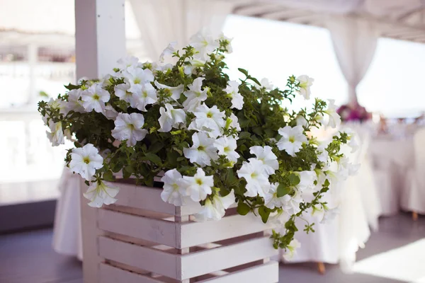 Elegante decoración de flores en la mesa en el restaurante para un par — Foto de Stock