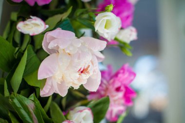 Zarif çiçek dekorasyon Restoran bir olay parti veya düğün tablo için tablo
