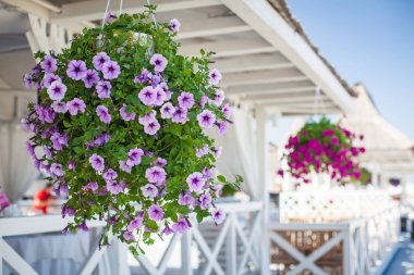 Zarif çiçek dekorasyon Restoran bir olay parti veya düğün tablo için tablo