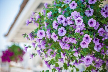 Zarif çiçek dekorasyon Restoran bir olay parti veya düğün tablo için tablo