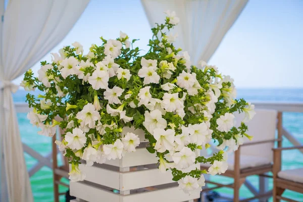 Elegante decoración de flores en la mesa en el restaurante para un par — Foto de Stock