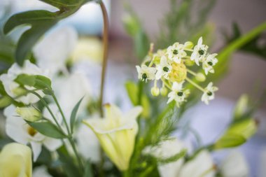 Güzel romantik düğün töreni süslemeleri. Kurmak