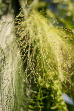 Güzel romantik düğün töreni süslemeleri. Kurmak