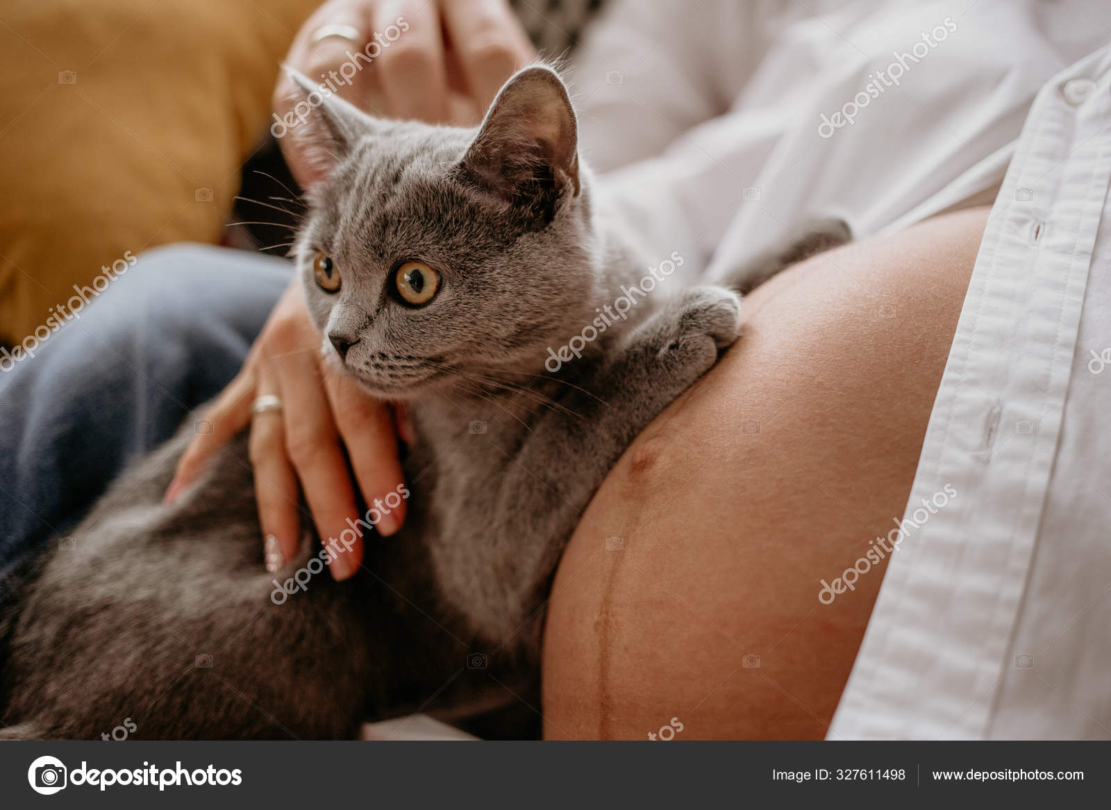 Cat and pregnant best sale woman